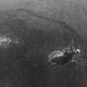 Illustration for article titled Not Again: How a 1969 Oil Spill Devastated the Santa Barbara Coast